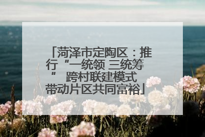 菏泽市定陶区：推行“一统领 三统筹” 跨村联建模式 带动片区共同富裕