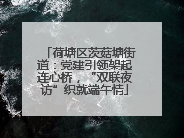 荷塘区茨菇塘街道：党建引领架起连心桥，“双联夜访”织就端午情