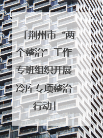 荆州市“两个整治”工作专班组织开展冷库专项整治行动