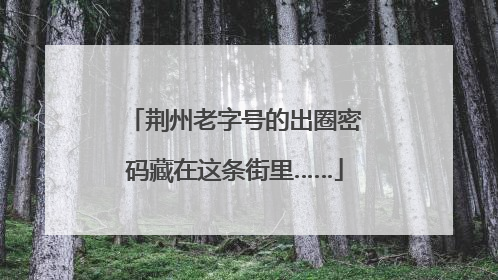 荆州老字号的出圈密码藏在这条街里……