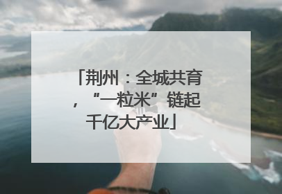 荆州：全城共育，“一粒米”链起千亿大产业