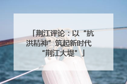 荆江评论：以“抗洪精神”筑起新时代“荆江大堤”