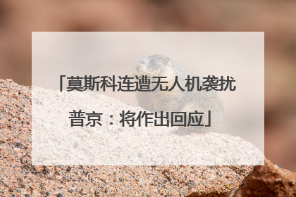 莫斯科连遭无人机袭扰 普京：将作出回应