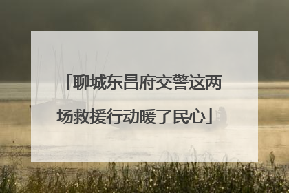 聊城东昌府交警这两场救援行动暖了民心