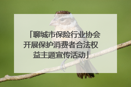 聊城市保险行业协会开展保护消费者合法权益主题宣传活动
