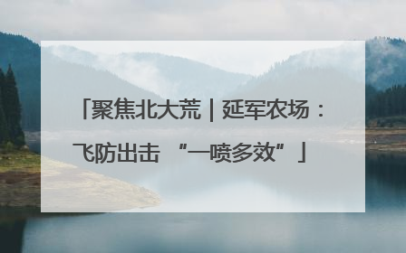 聚焦北大荒｜延军农场：飞防出击 “一喷多效”