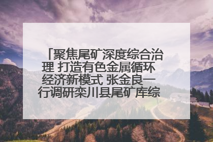 聚焦尾矿深度综合治理 打造有色金属循环经济新模式 张金良一行调研栾川县尾矿库综合治理工作