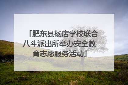 肥东县杨店学校联合八斗派出所举办安全教育志愿服务活动