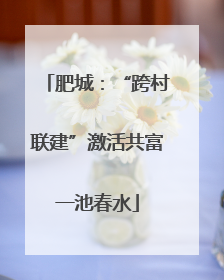 肥城：“跨村联建”激活共富一池春水