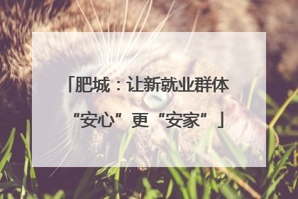 肥城：让新就业群体“安心”更“安家”