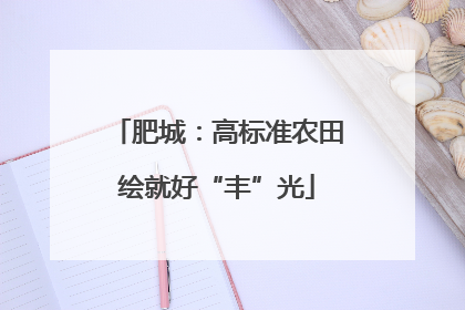 肥城：高标准农田绘就好“丰”光