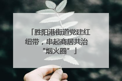 胜阳港街道党建红纽带，串起商居共治 “烟火圈”
