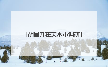 胡昌升在天水市调研
