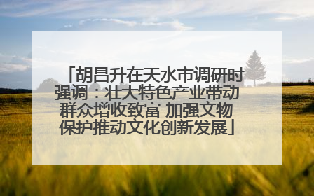 胡昌升在天水市调研时强调：壮大特色产业带动群众增收致富 加强文物保护推动文化创新发展