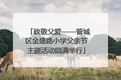 致敬父爱——管城区金盛路小学父亲节主题活动圆满举行