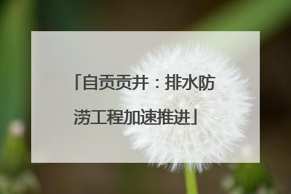 自贡贡井：排水防涝工程加速推进
