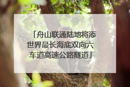 舟山联通陆地将添世界最长海底双向六车道高速公路隧道