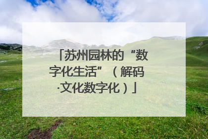 苏州园林的“数字化生活”（解码·文化数字化）