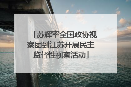苏辉率全国政协视察团到江苏开展民主监督性视察活动