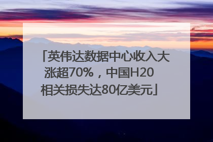 英伟达数据中心收入大涨超70%，中国H20相关损失达80亿美元