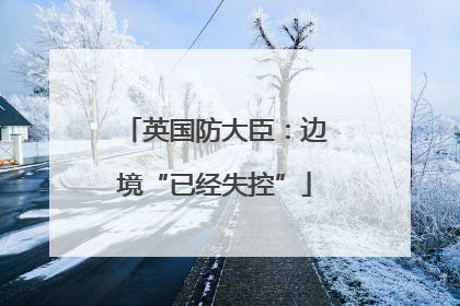 英国防大臣：边境“已经失控”