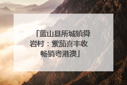 蓝山县所城镇舜岩村：紫茄喜丰收 畅销粤港澳