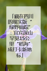 藏在四川的现实版“绿野仙踪”：宜宾深山罕见15公里“稻海”成打卡新地标