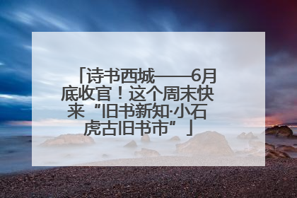 诗书西城——6月底收官！这个周末快来“旧书新知·小石虎古旧书市”