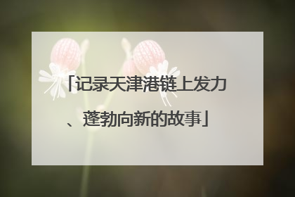 记录天津港链上发力、蓬勃向新的故事