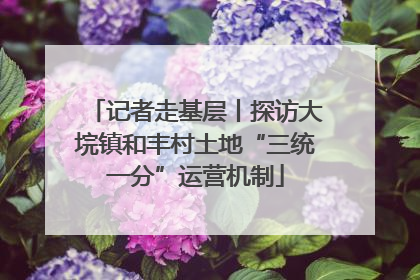 记者走基层丨探访大垸镇和丰村土地“三统一分”运营机制