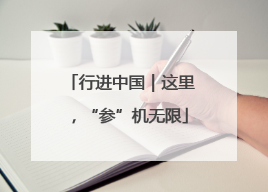 行进中国｜这里，“参”机无限