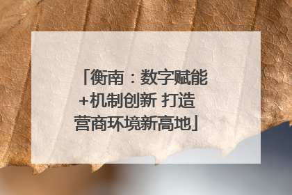 衡南：数字赋能+机制创新 打造营商环境新高地