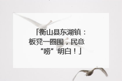 衡山县东湖镇：板凳一圈围，民意“唠”明白！