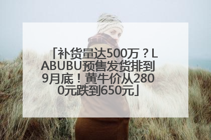 补货量达500万？LABUBU预售发货排到9月底！黄牛价从2800元跌到650元