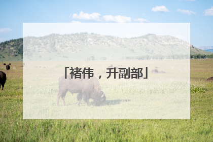褚伟，升副部