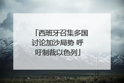 西班牙召集多国讨论加沙局势 呼吁制裁以色列
