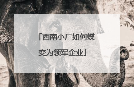 西南小厂如何蝶变为领军企业