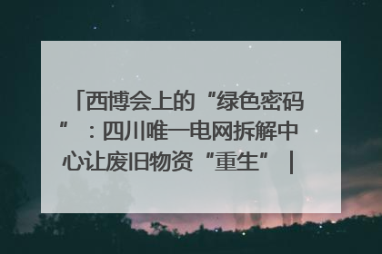 西博会上的“绿色密码”：四川唯一电网拆解中心让废旧物资“重生”｜西博寻“新”记