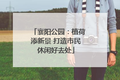 襄阳公园：植荷添新景 打造市民休闲好去处
