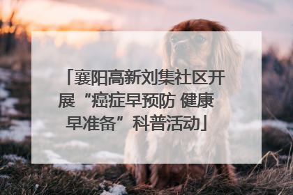 襄阳高新刘集社区开展“癌症早预防 健康早准备”科普活动