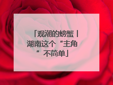 观潮的螃蟹丨湖南这个“主角”不简单
