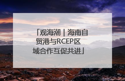 观海潮｜海南自贸港与RCEP区域合作互促共进
