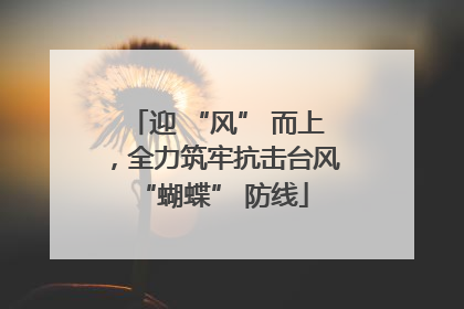 迎 “风” 而上，全力筑牢抗击台风 “蝴蝶” 防线