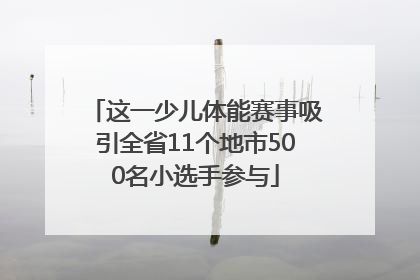 这一少儿体能赛事吸引全省11个地市500名小选手参与
