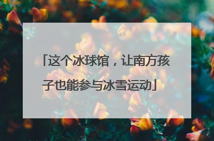 这个冰球馆，让南方孩子也能参与冰雪运动