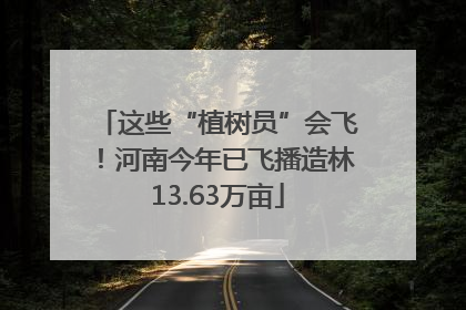 这些“植树员”会飞！河南今年已飞播造林13.63万亩