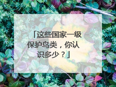 这些国家一级保护鸟类，你认识多少？