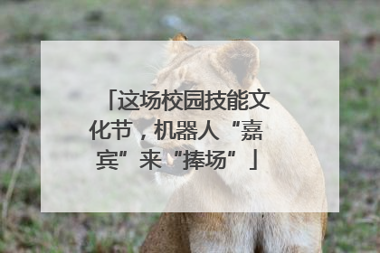 这场校园技能文化节，机器人“嘉宾”来“捧场”