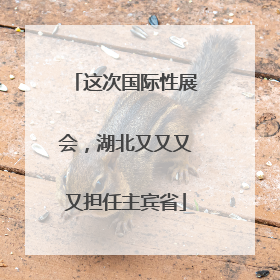 这次国际性展会，湖北又又又又担任主宾省