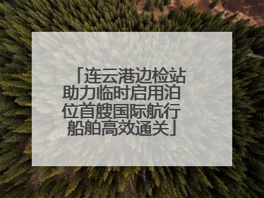 连云港边检站助力临时启用泊位首艘国际航行船舶高效通关